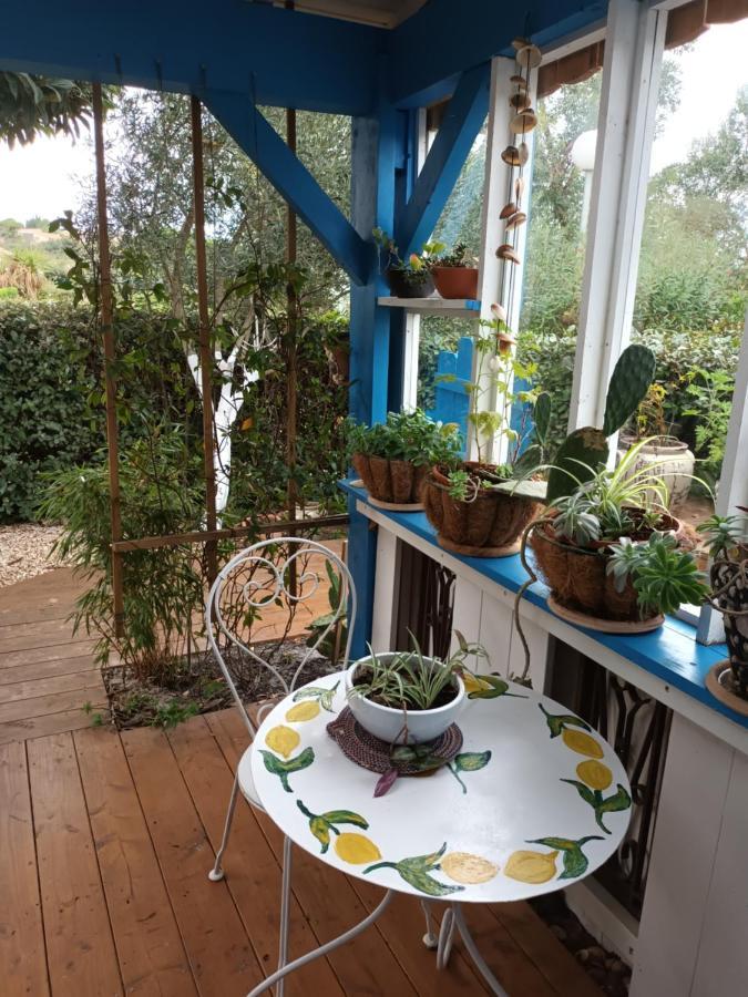 La Cabane Du Pecheur Mèze Zewnętrze zdjęcie